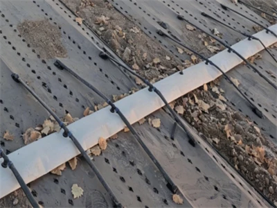 Drip Irrigation: The ''Small, Frequent Meals'' For Plant Health
